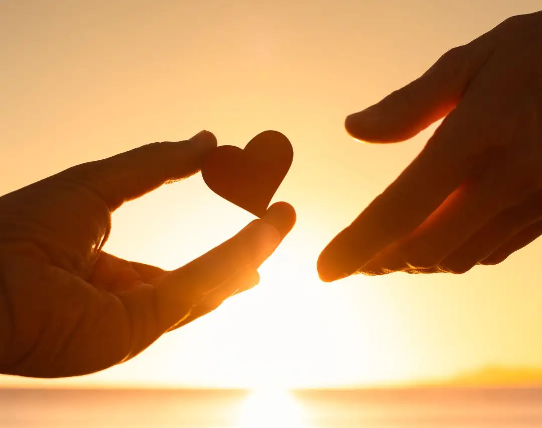 two-hand-image