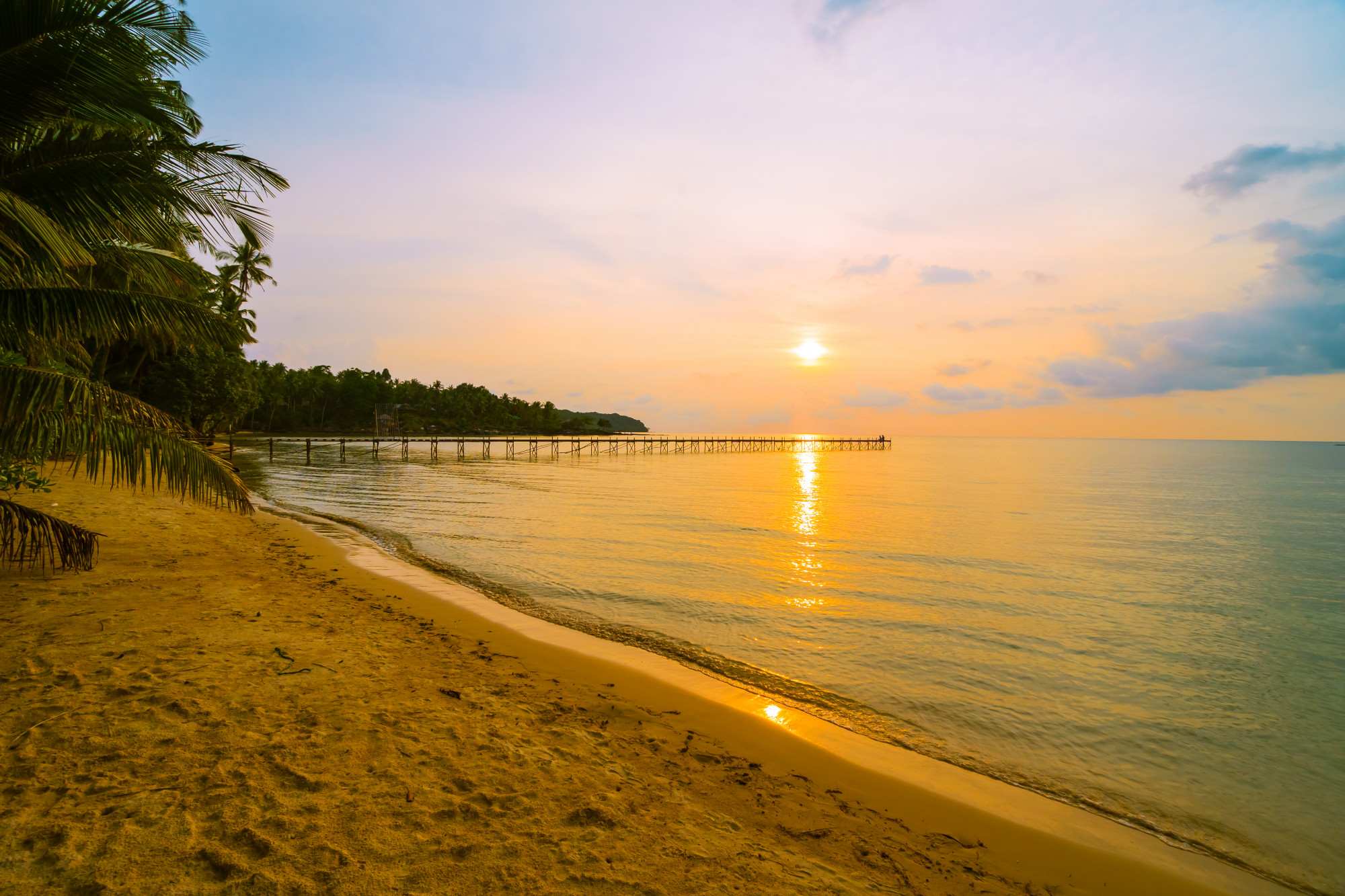 island with beach and sea around coconut palm tree